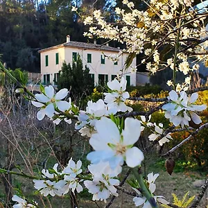  Séjour à la campagne Agroturisme Finca Sa Maniga